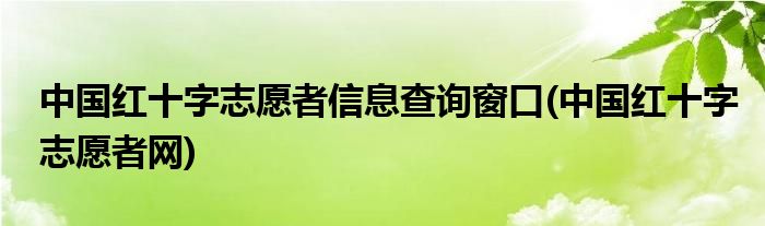 中国红十字志愿者信息查询窗口(中国红十字志愿者网)