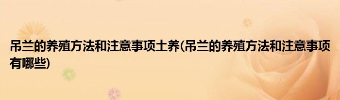 吊兰的养殖方法和注意事项土养(吊兰的养殖方法和注意事项有哪些)