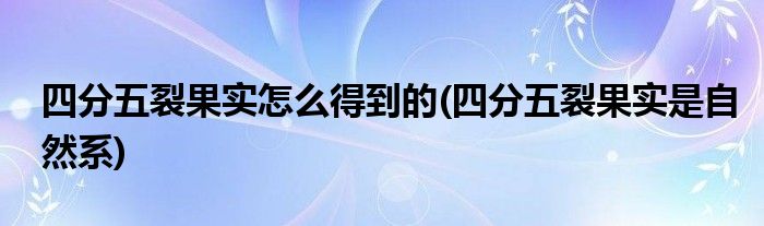 四分五裂果实怎么得到的(四分五裂果实是自然系)