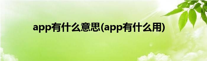 app有什么意思(app有什么用)