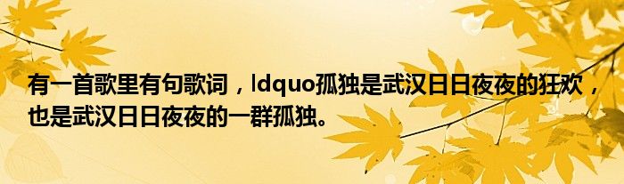 有一首歌里有句歌词，ldquo孤独是武汉日日夜夜的狂欢，也是武汉日日夜夜的一群孤独。