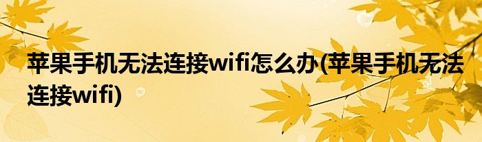 苹果手机无法连接wifi怎么办(苹果手机无法连接wifi)