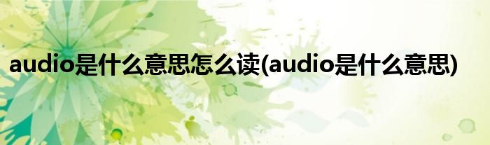 audio是什么意思怎么读(audio是什么意思)