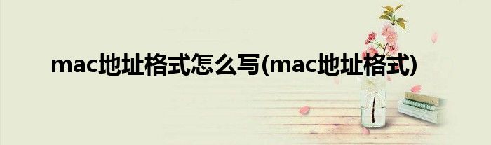 mac地址格式怎么写(mac地址格式)