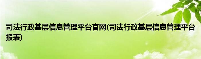 司法行政基层信息管理平台官网(司法行政基层信息管理平台报表)