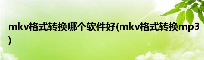 mkv格式转换哪个软件好(mkv格式转换mp3)