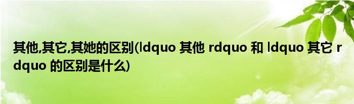 其他,其它,其她的区别(ldquo 其他 rdquo 和 ldquo 其它 rdquo 的区别是什么)