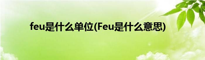 feu是什么单位(Feu是什么意思)