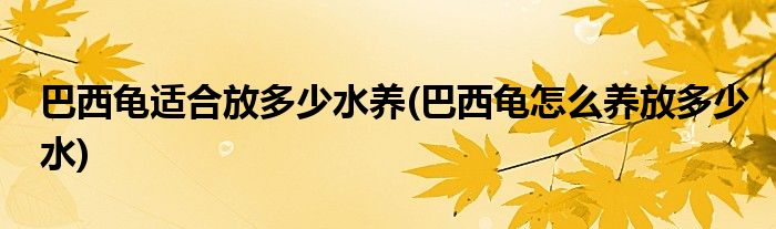 巴西龟适合放多少水养(巴西龟怎么养放多少水)