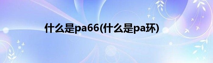 什么是pa66(什么是pa环)