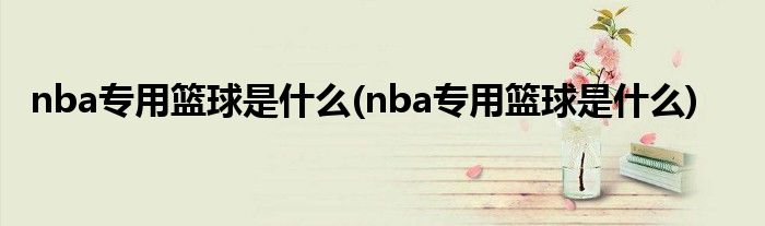 nba专用篮球是什么(nba专用篮球是什么)