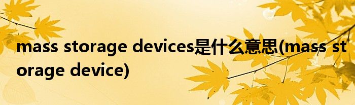 mass storage devices是什么意思(mass storage device)