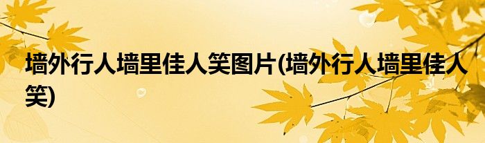 墙外行人墙里佳人笑图片(墙外行人墙里佳人笑)