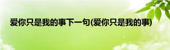 爱你只是我的事下一句(爱你只是我的事)