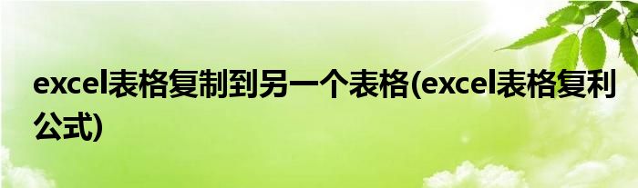 excel表格复制到另一个表格(excel表格复利公式)