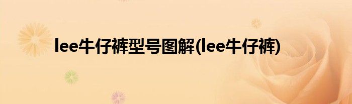 lee牛仔裤型号图解(lee牛仔裤)