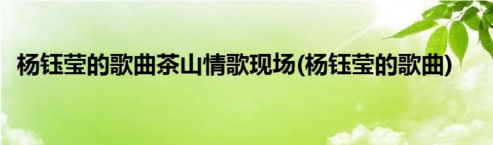 杨钰莹的歌曲茶山情歌现场(杨钰莹的歌曲)