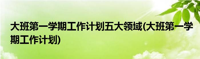 大班第一学期工作计划五大领域(大班第一学期工作计划)