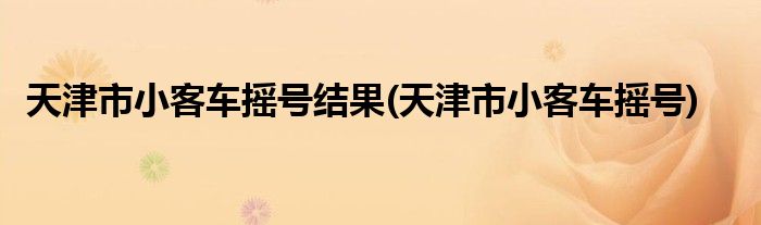 天津市小客车摇号结果(天津市小客车摇号)