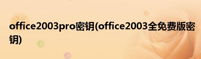 office2003pro密钥(office2003全免费版密钥)