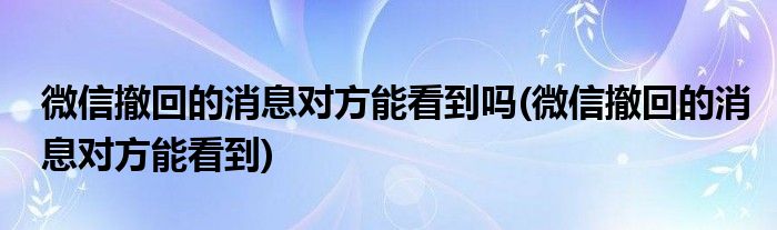 微信撤回的消息对方能看到吗(微信撤回的消息对方能看到)