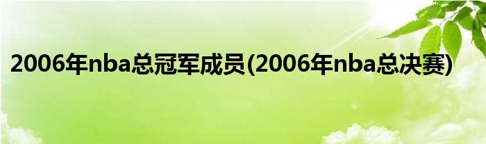 2006年nba总冠军成员(2006年nba总决赛)