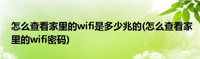 怎么查看家里的wifi是多少兆的(怎么查看家里的wifi密码)