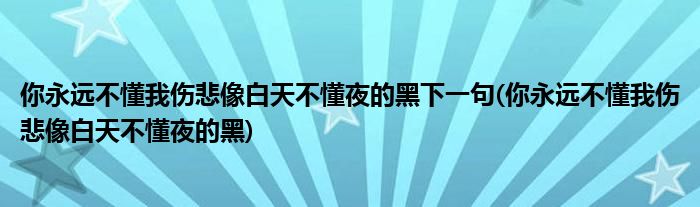 你永远不懂我伤悲像白天不懂夜的黑下一句(你永远不懂我伤悲像白天不懂夜的黑)