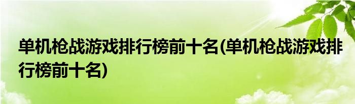 单机枪战游戏排行榜前十名(单机枪战游戏排行榜前十名)