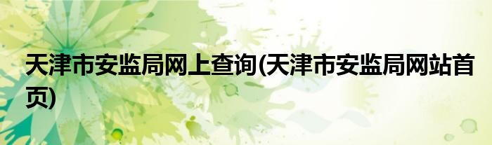 天津市安监局网上查询(天津市安监局网站首页)