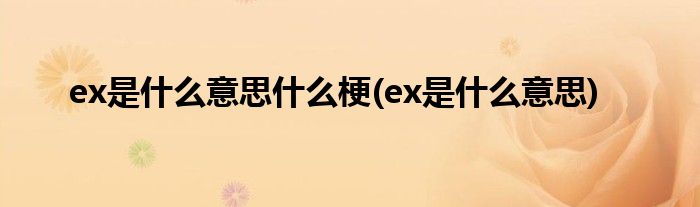 ex是什么意思什么梗(ex是什么意思)