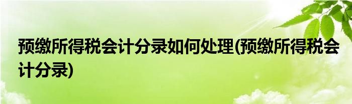 预缴所得税会计分录如何处理(预缴所得税会计分录)