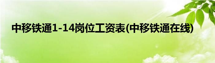 中移铁通1-14岗位工资表(中移铁通在线)