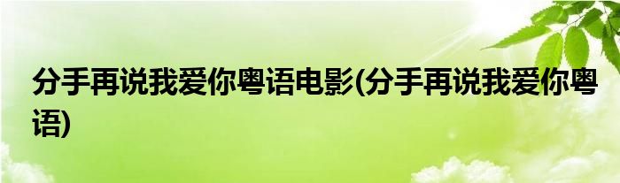 分手再说我爱你粤语电影(分手再说我爱你粤语)