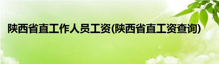 陕西省直工作人员工资(陕西省直工资查询)