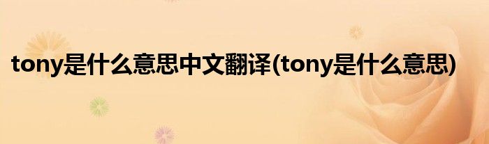 tony是什么意思中文翻译(tony是什么意思)