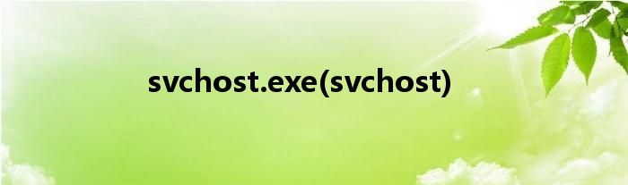 svchost.exe(svchost)