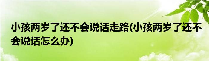 小孩两岁了还不会说话走路(小孩两岁了还不会说话怎么办)