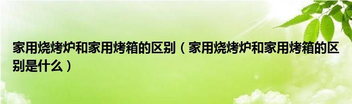 家用烧烤炉和家用烤箱的区别（家用烧烤炉和家用烤箱的区别是什么）