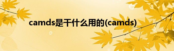 camds是干什么用的(camds)