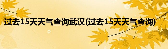 过去15天天气查询武汉(过去15天天气查询)