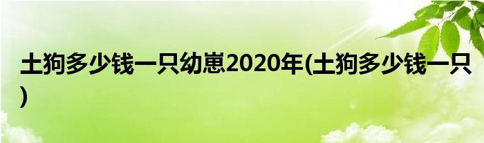 土狗多少钱一只幼崽2020年(土狗多少钱一只)