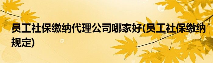 员工社保缴纳代理公司哪家好(员工社保缴纳规定)