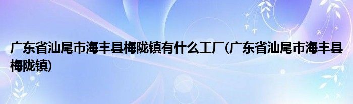 广东省汕尾市海丰县梅陇镇有什么工厂(广东省汕尾市海丰县梅陇镇)