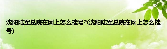 沈阳陆军总院在网上怎么挂号?(沈阳陆军总院在网上怎么挂号)