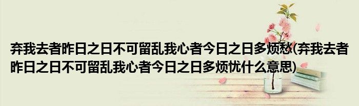 弃我去者昨日之日不可留乱我心者今日之日多烦愁(弃我去者昨日之日不可留乱我心者今日之日多烦忧什么意思)