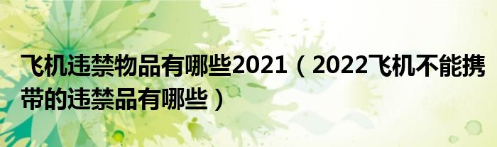 飞机违禁物品有哪些2021（2022飞机不能携带的违禁品有哪些）