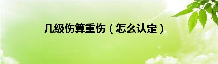 几级伤算重伤（怎么认定）