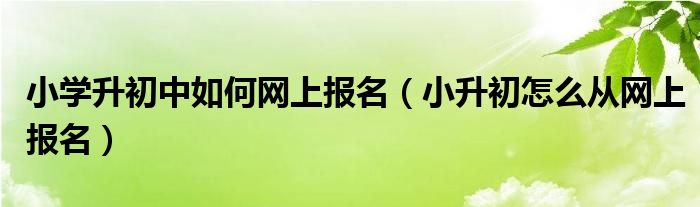 小学升初中如何网上报名（小升初怎么从网上报名）