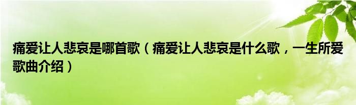 痛爱让人悲哀是哪首歌（痛爱让人悲哀是什么歌，一生所爱歌曲介绍）